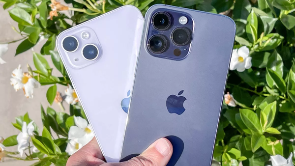 iPhone 14 Pro Max mang tới cảm giác thanh lịch còn iPhone 14 Plus cho bạn cảm giác trẻ trung, năng động
